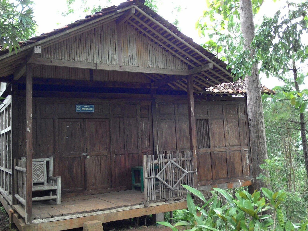 Wisata Kalibiru景点图片