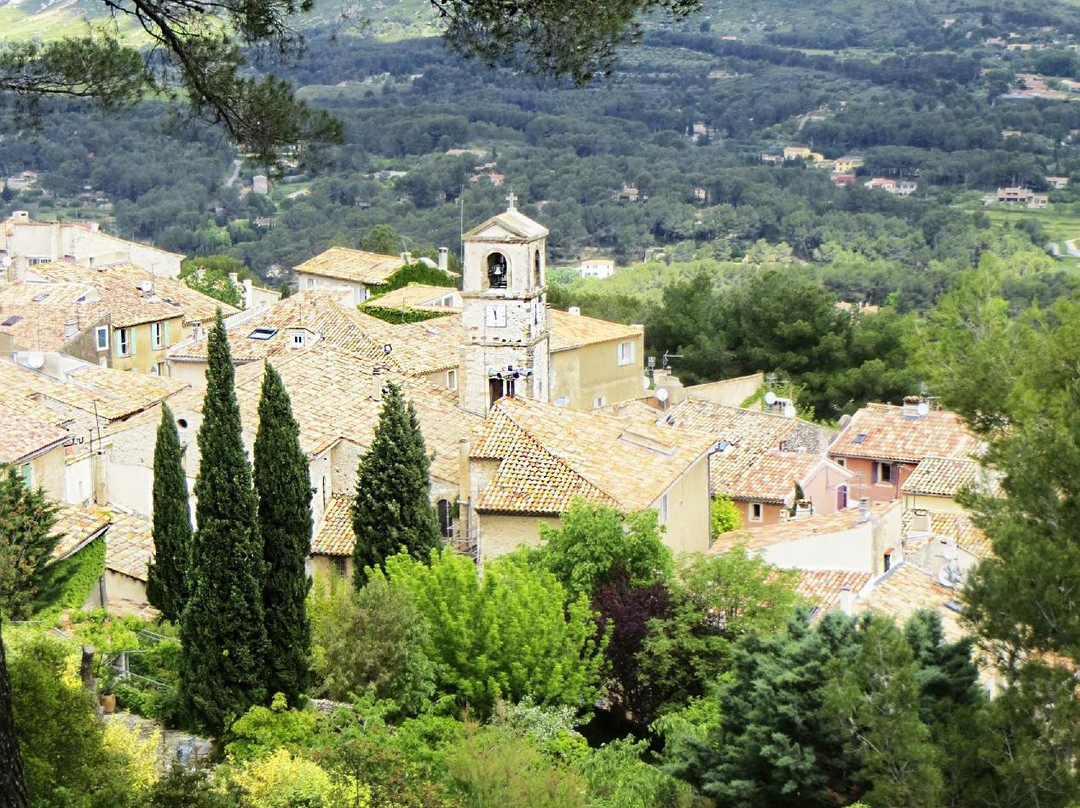 Grape Escapes Provence景点图片
