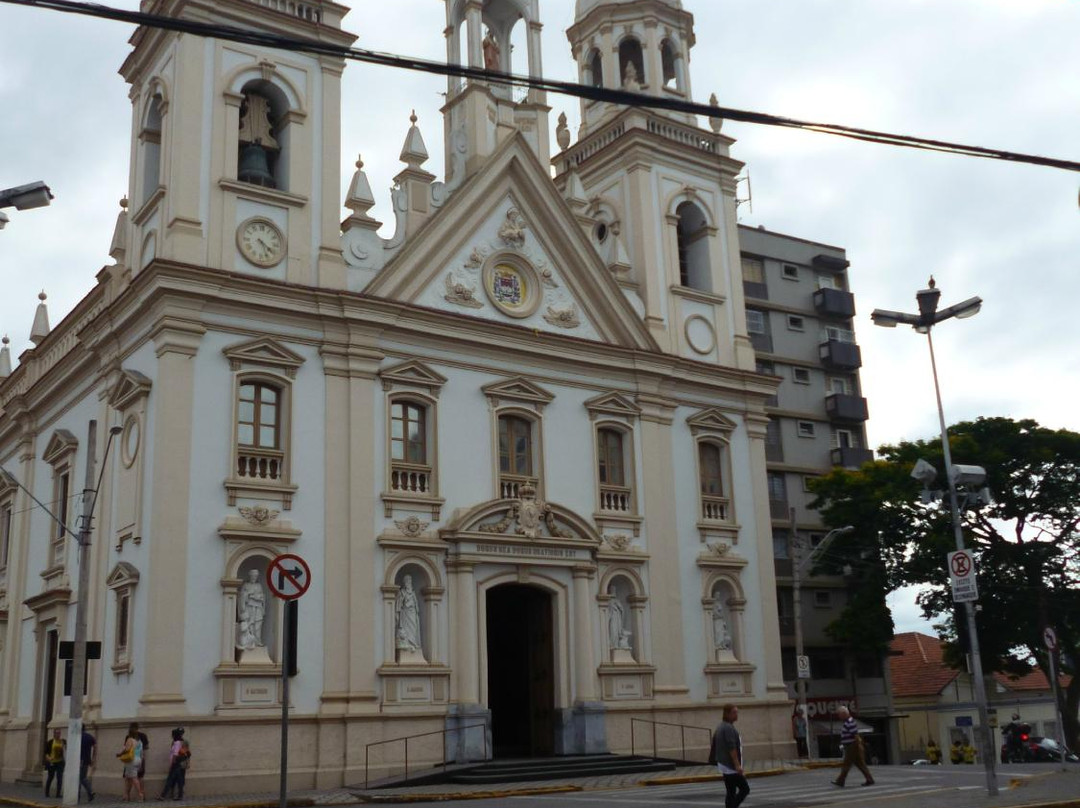 Catedral Santo Antônio景点图片