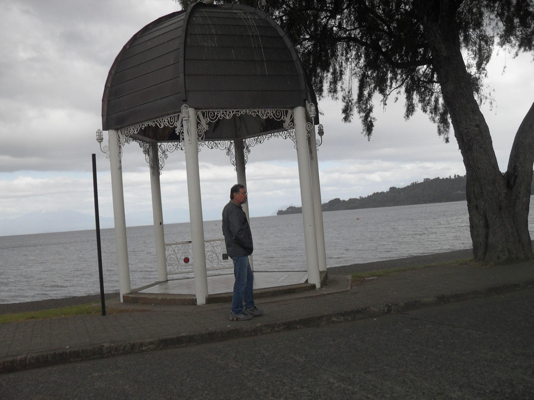 Muelle Frutillar-Frutillar必去景点