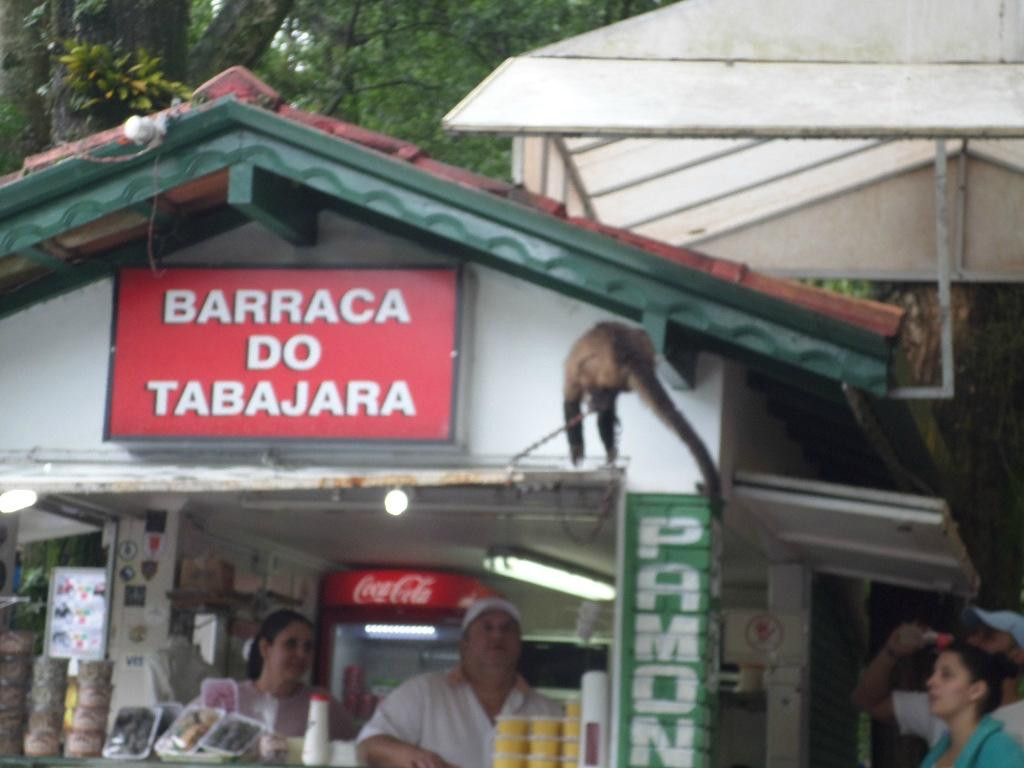 Aguas da Prata餐馆和美食-Barraca Do Tabajara