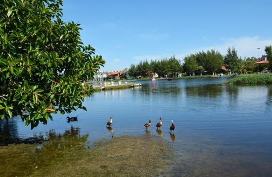 Lago do Braco-Morto-Imbe必去景点