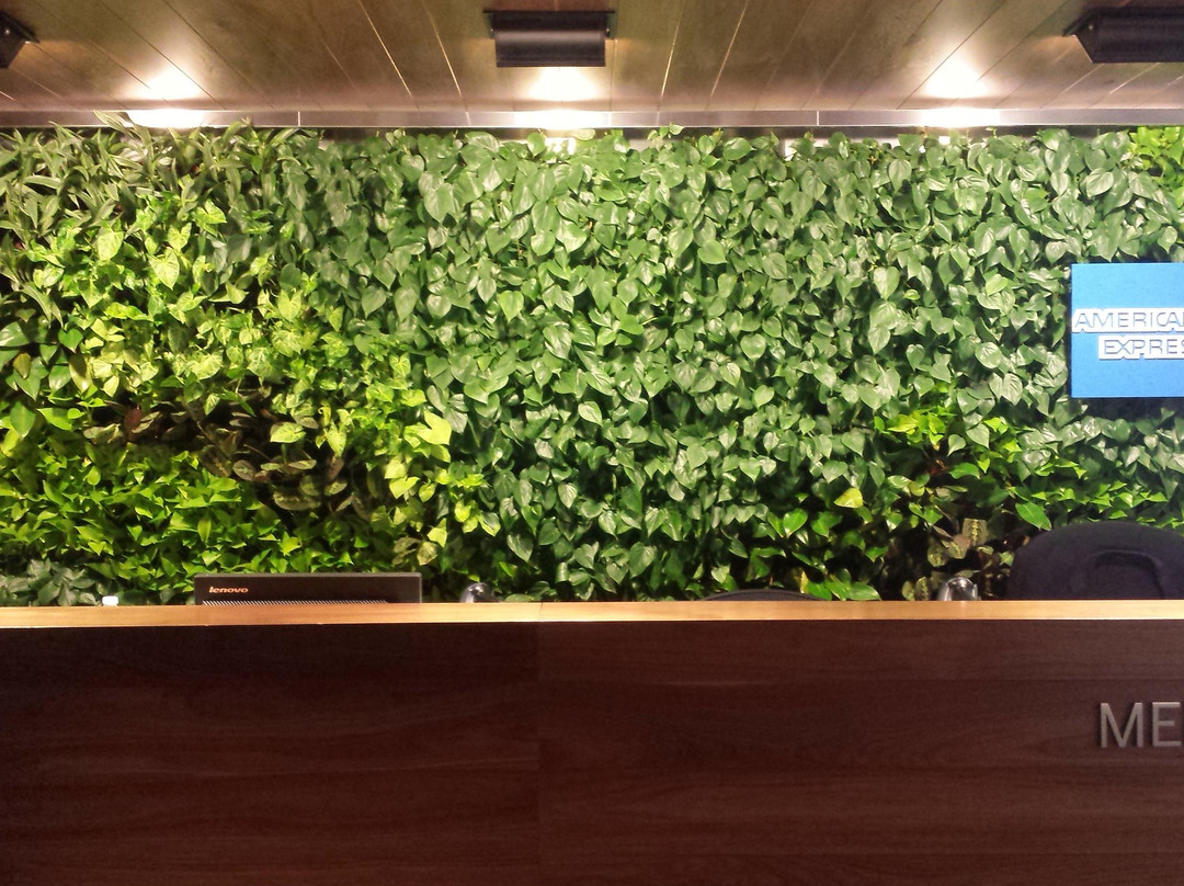 The Centurion Lounge-东艾姆赫斯特必去景点