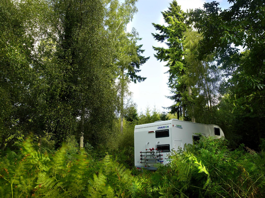 Setthorns Campsite
