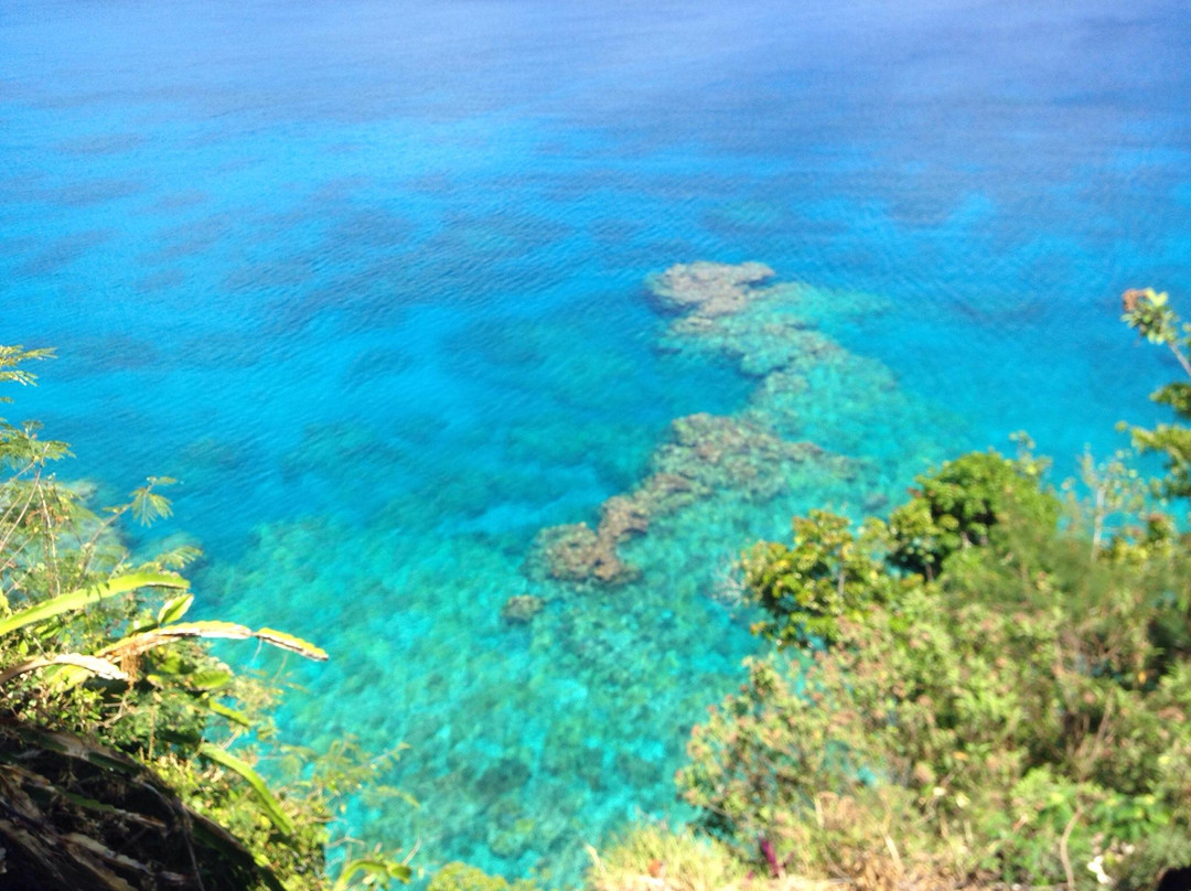 Gite Fare Falaise主图