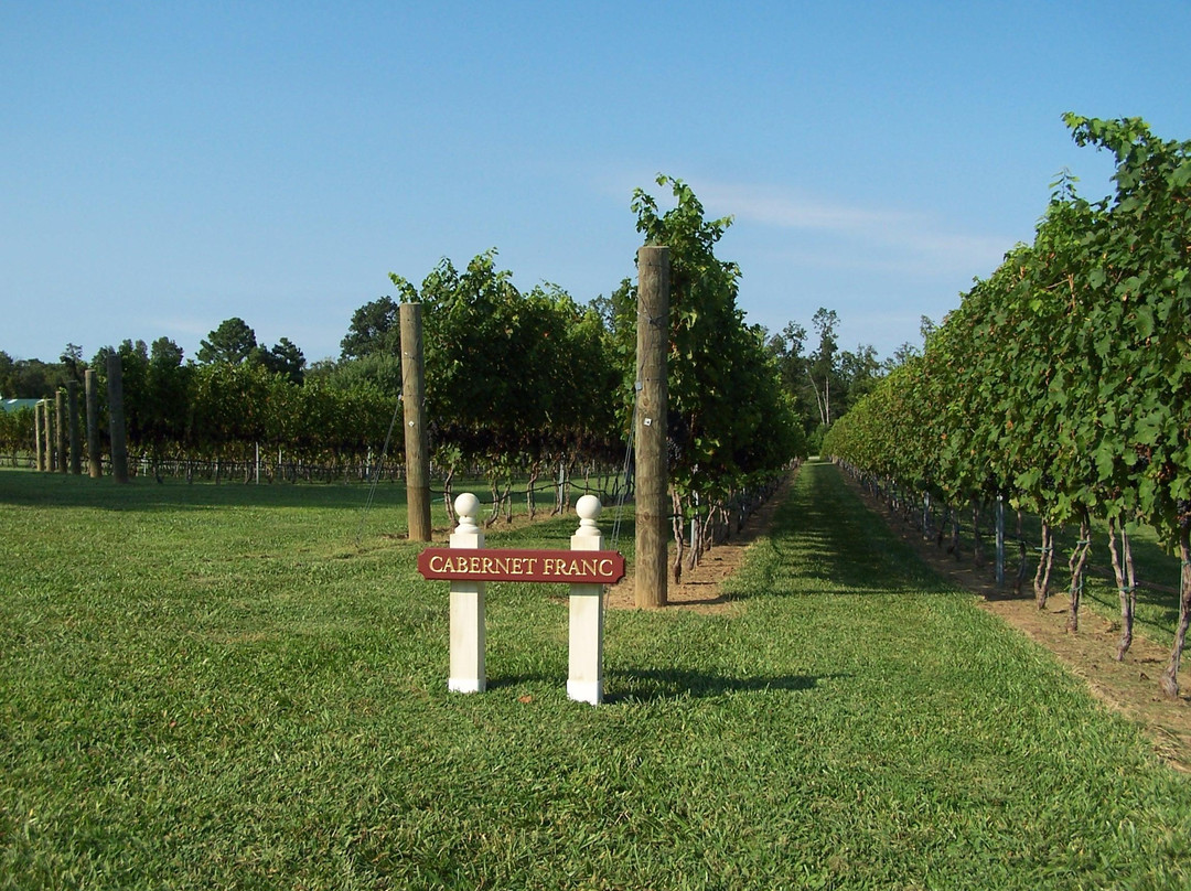 Vault Field Vineyards-Kinsale必去景点