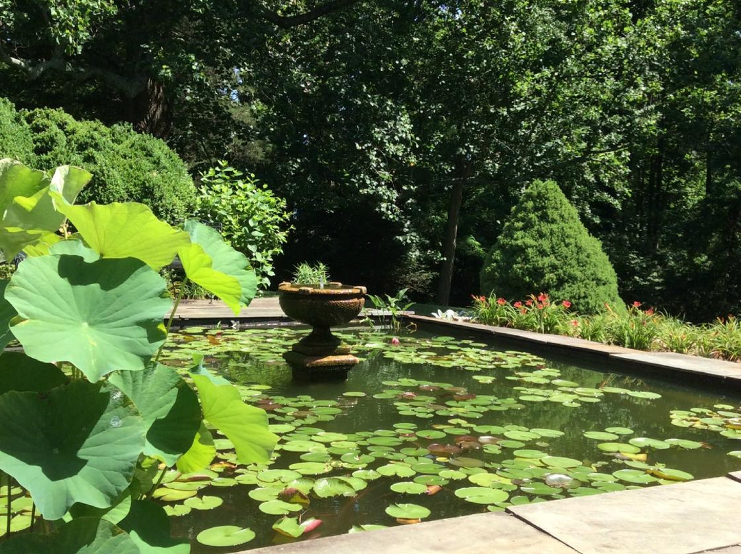 Chester Bed & Breakfast主图