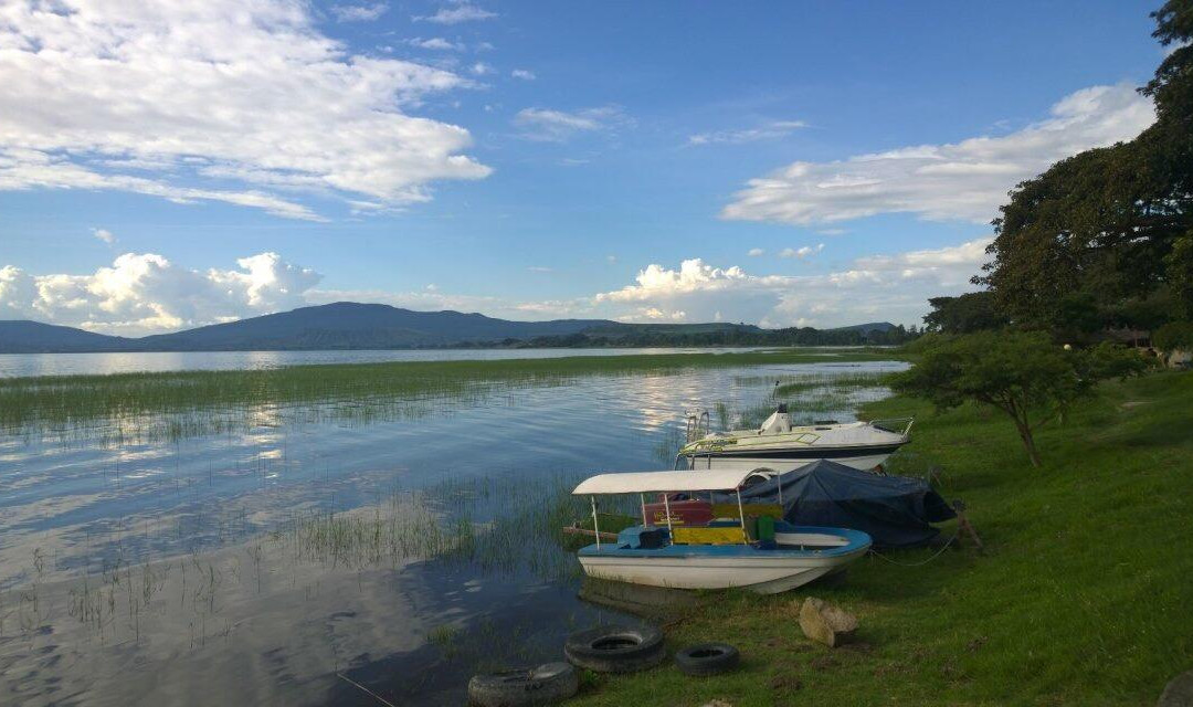 Hippo watching on Lake Awassa景点图片