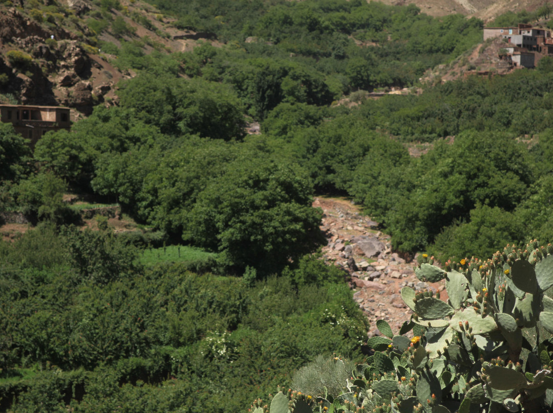 ClimbingToubkal-伊姆利勒必去景点