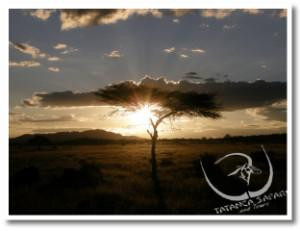 Tatanca Safari & Tours-Iringa必去景点