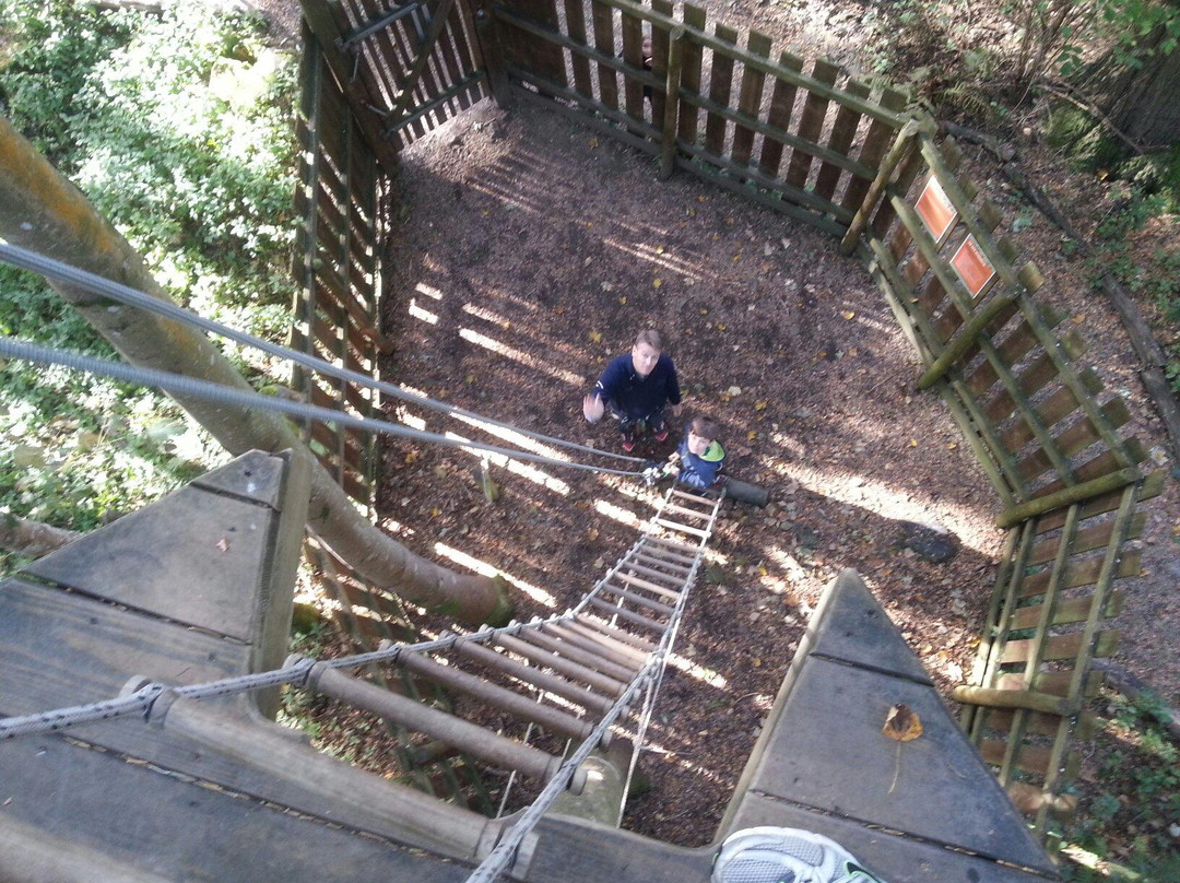 Go Ape Aberdeen-Banchory必去景点