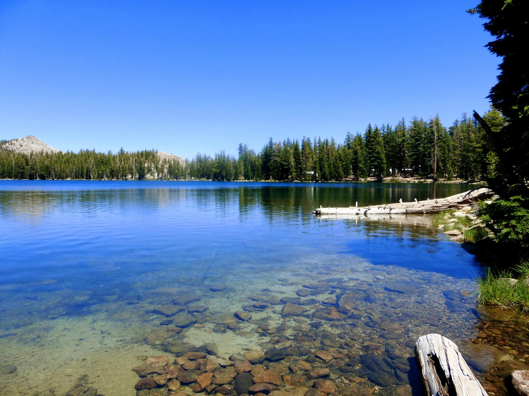 May Lake Trail-优胜美地国家公园必去景点