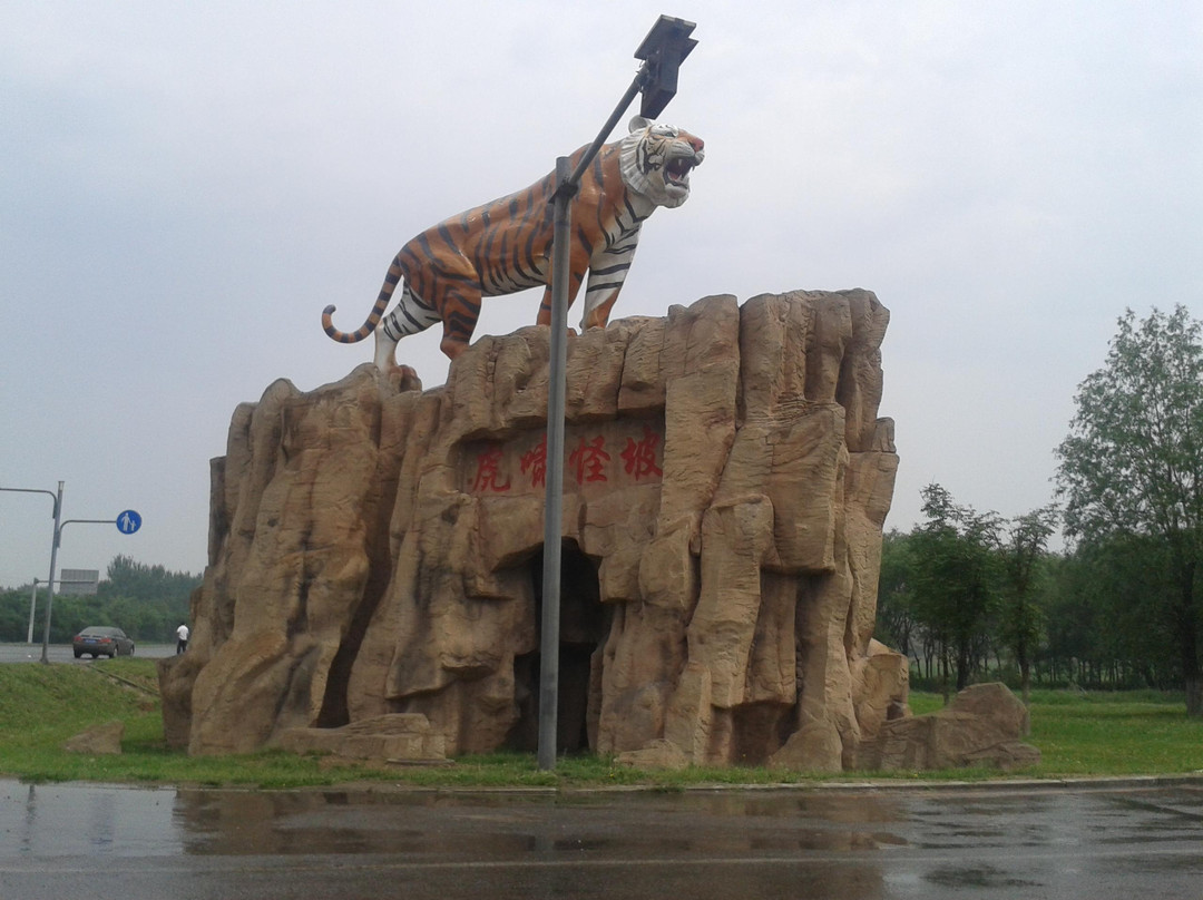 怪坡老虎园-沈阳市必去景点