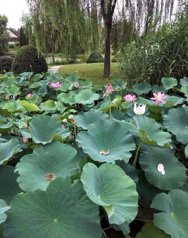 北京和园景逸大酒店主图