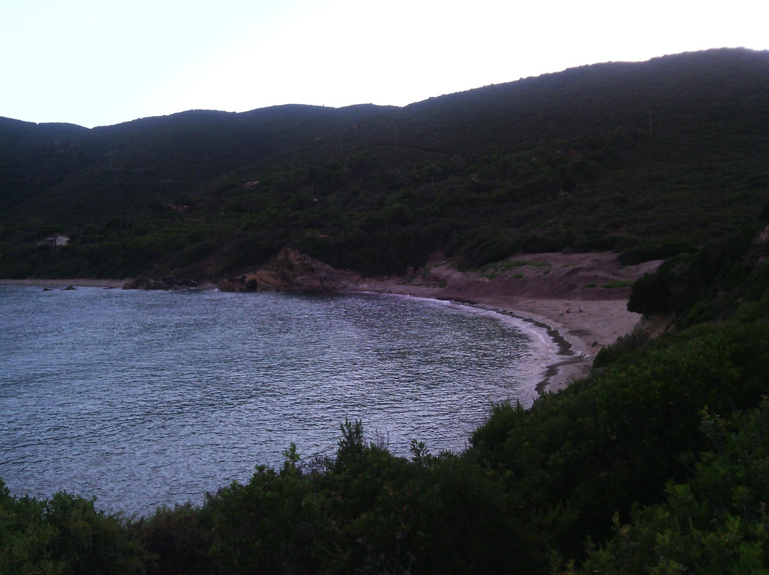 Camping Laconella景点图片