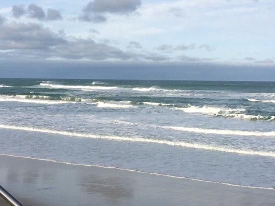 Dunedin Beach-但尼丁必去景点
