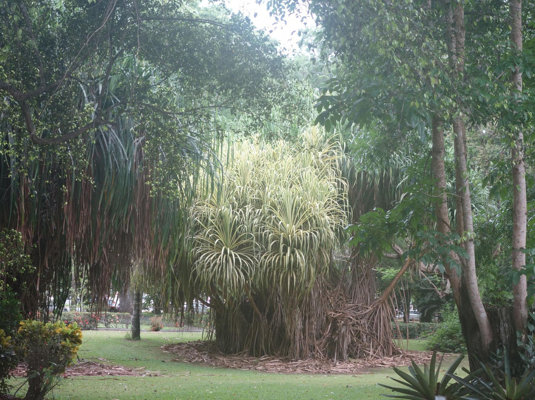 Tropical Agriculture Research Station-Mayaguez必去景点