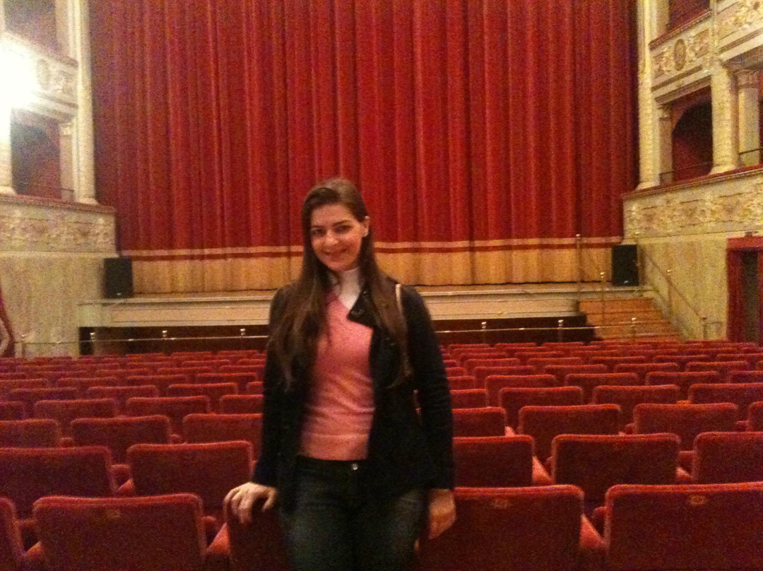 Teatro Filippo Marchetti景点图片