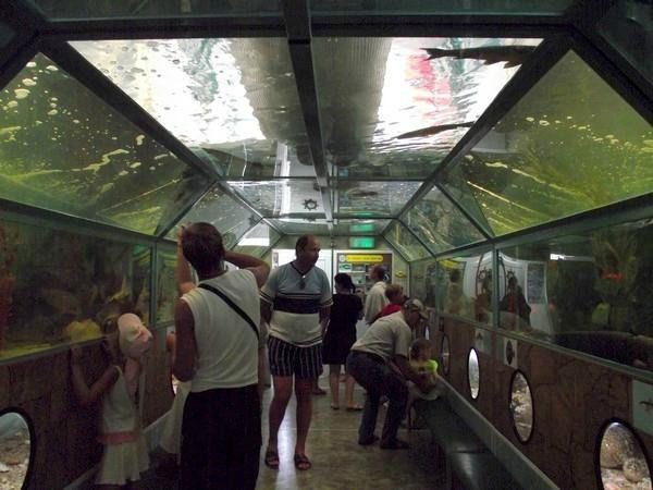 The Bathyscaphe - Marine Aquarium-阿纳帕必去景点