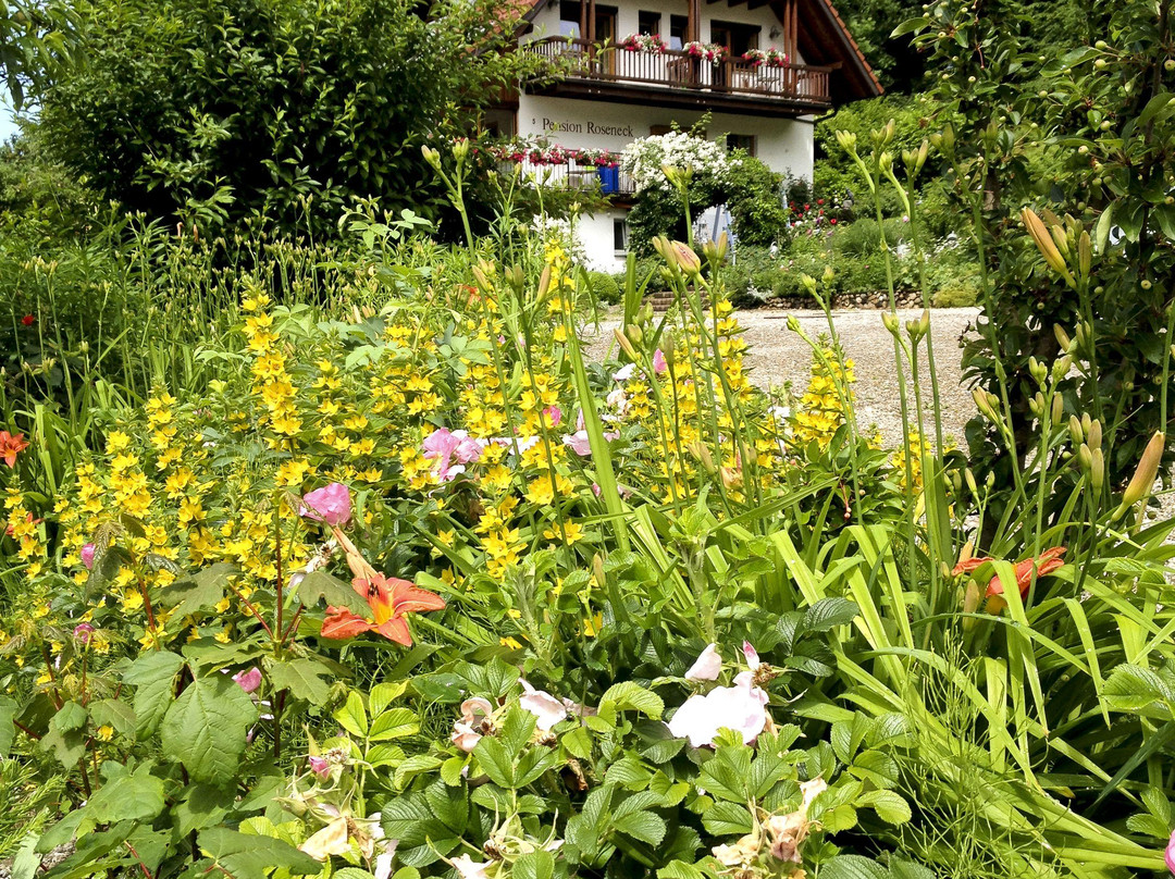 Pension Roseneck