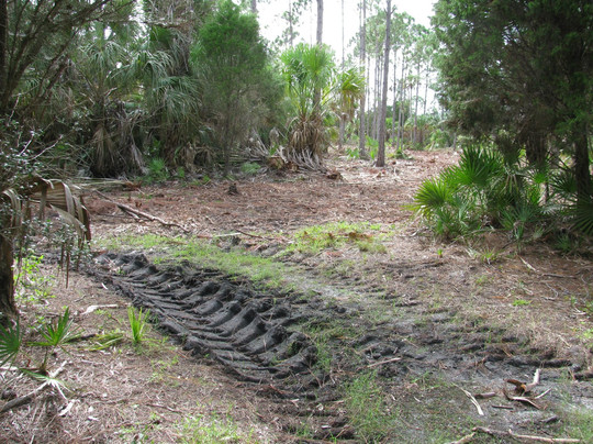 Withlacoochee Gulf Preserve-Yankeetown必去景点