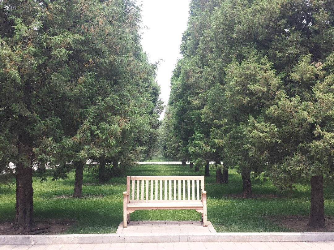 地坛公园-北京市必去景点
