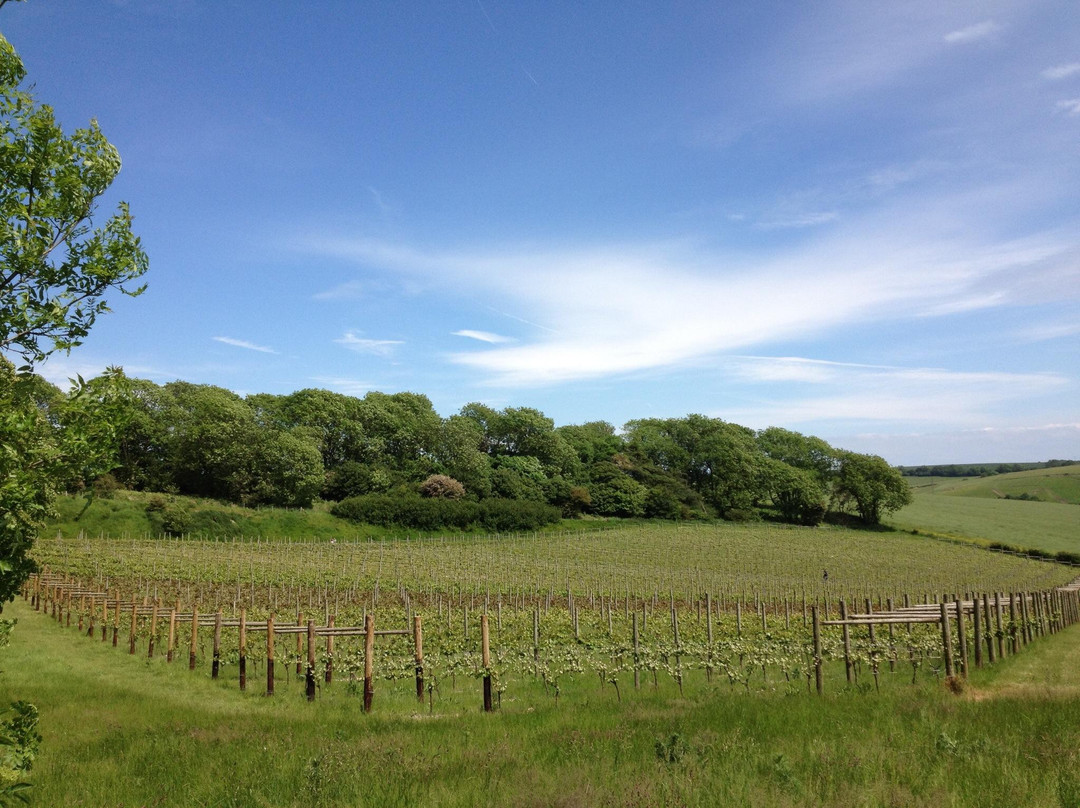 Terlingham Vineyard-Hawkinge必去景点