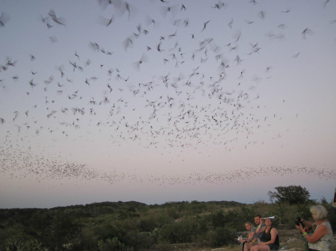 Frio Cave-Concan必去景点