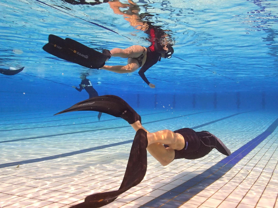 Singapore Freedivers-新加坡必去景点