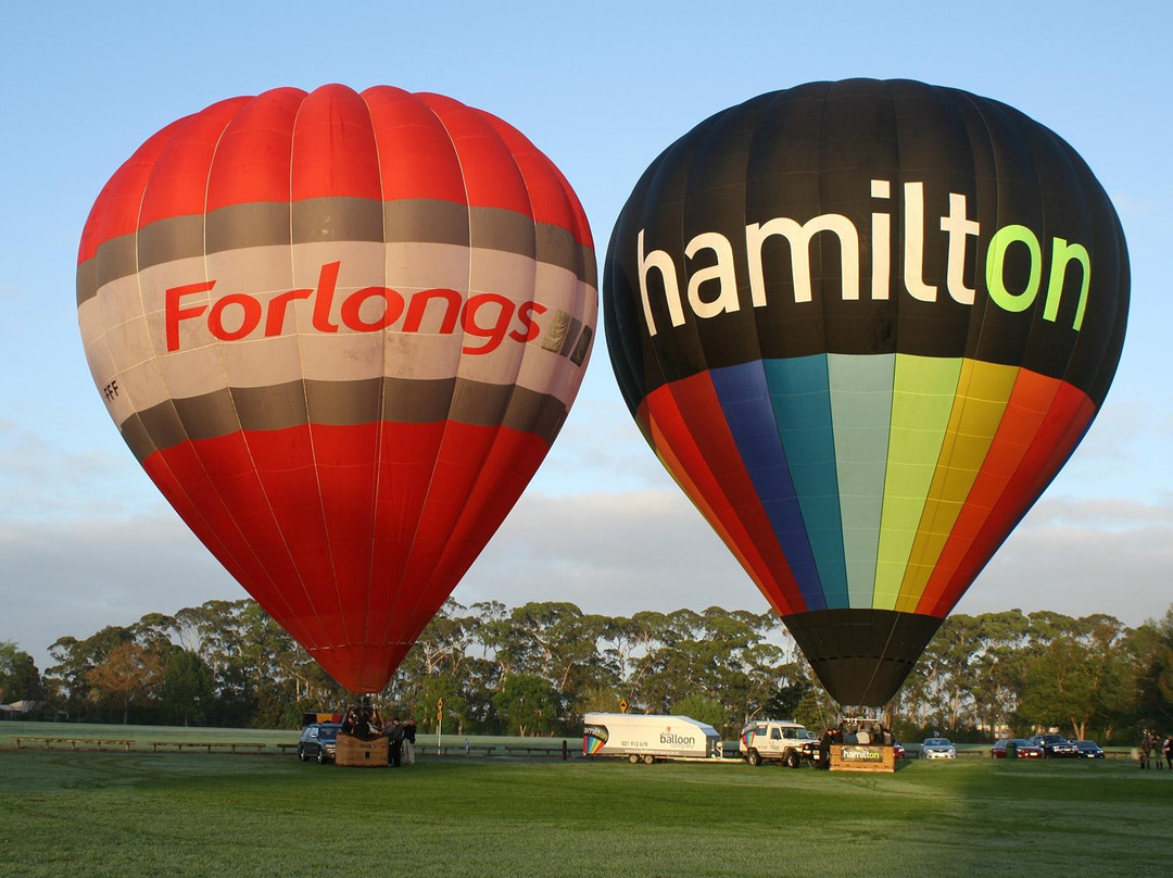 Kiwi Balloon Company-汉密尔顿必去景点