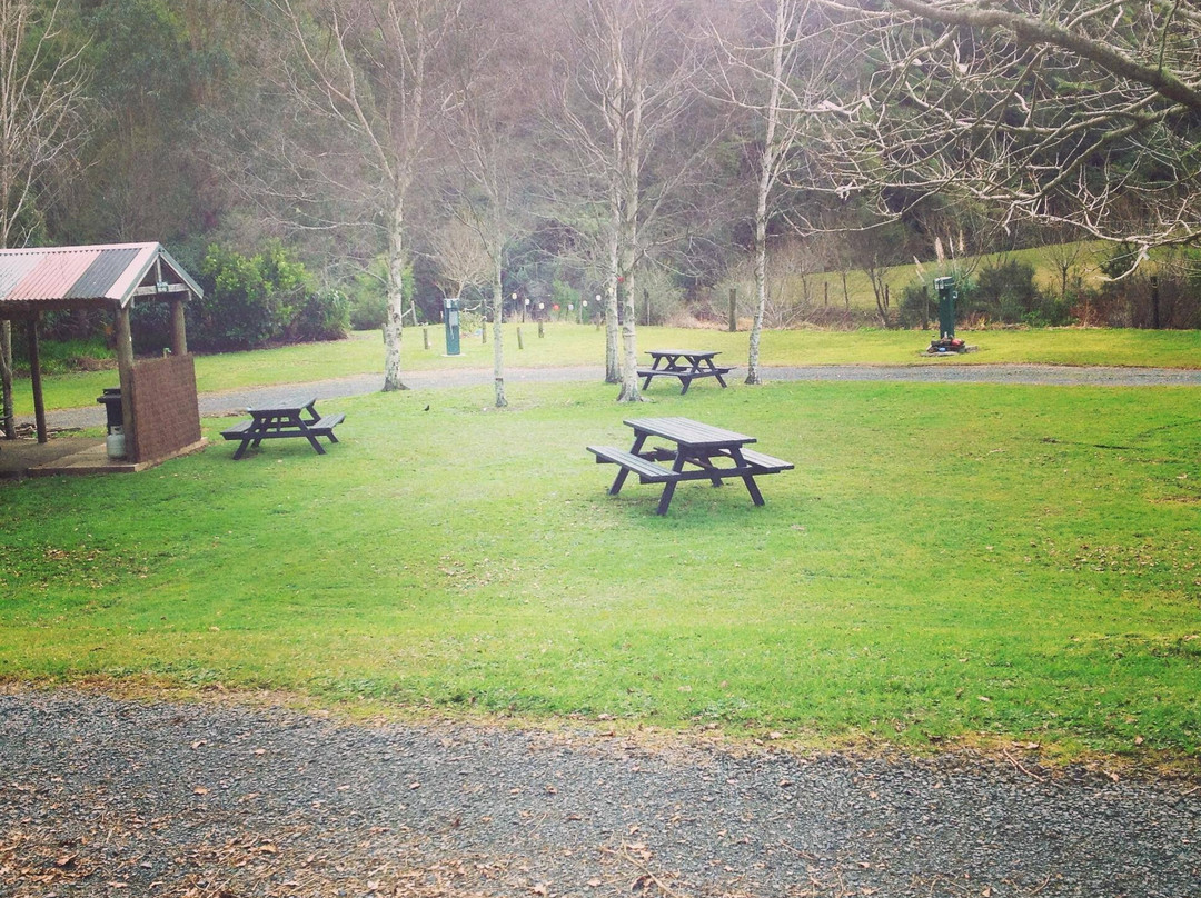 Tapu Creek Campervan Park