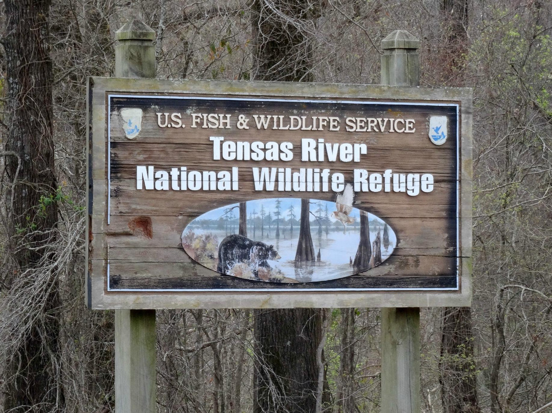 Tensas River National Wildlife Refuge景点图片