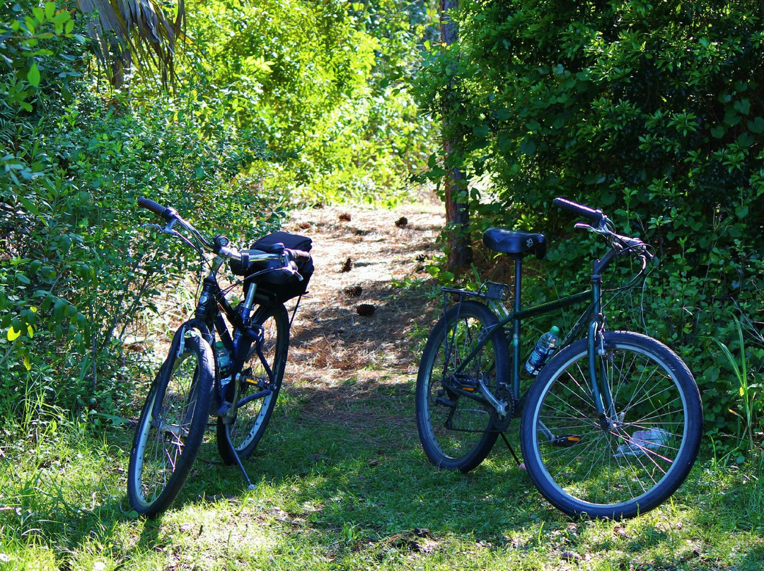 Spruce Bluff Preserve-圣露西港必去景点