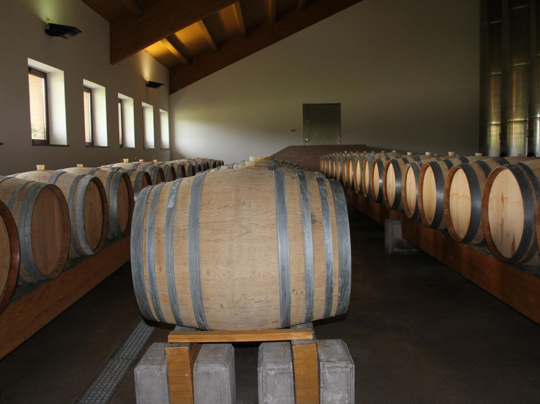 Azienda Agricola Giovanni Dri景点图片