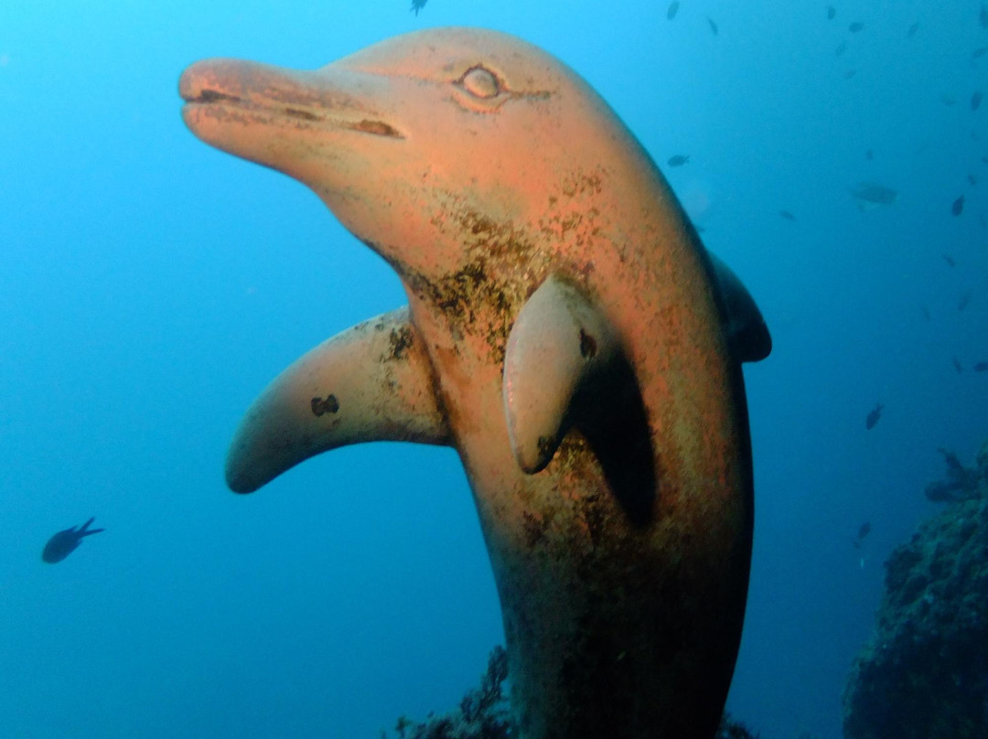 Octopus Scuba School景点图片