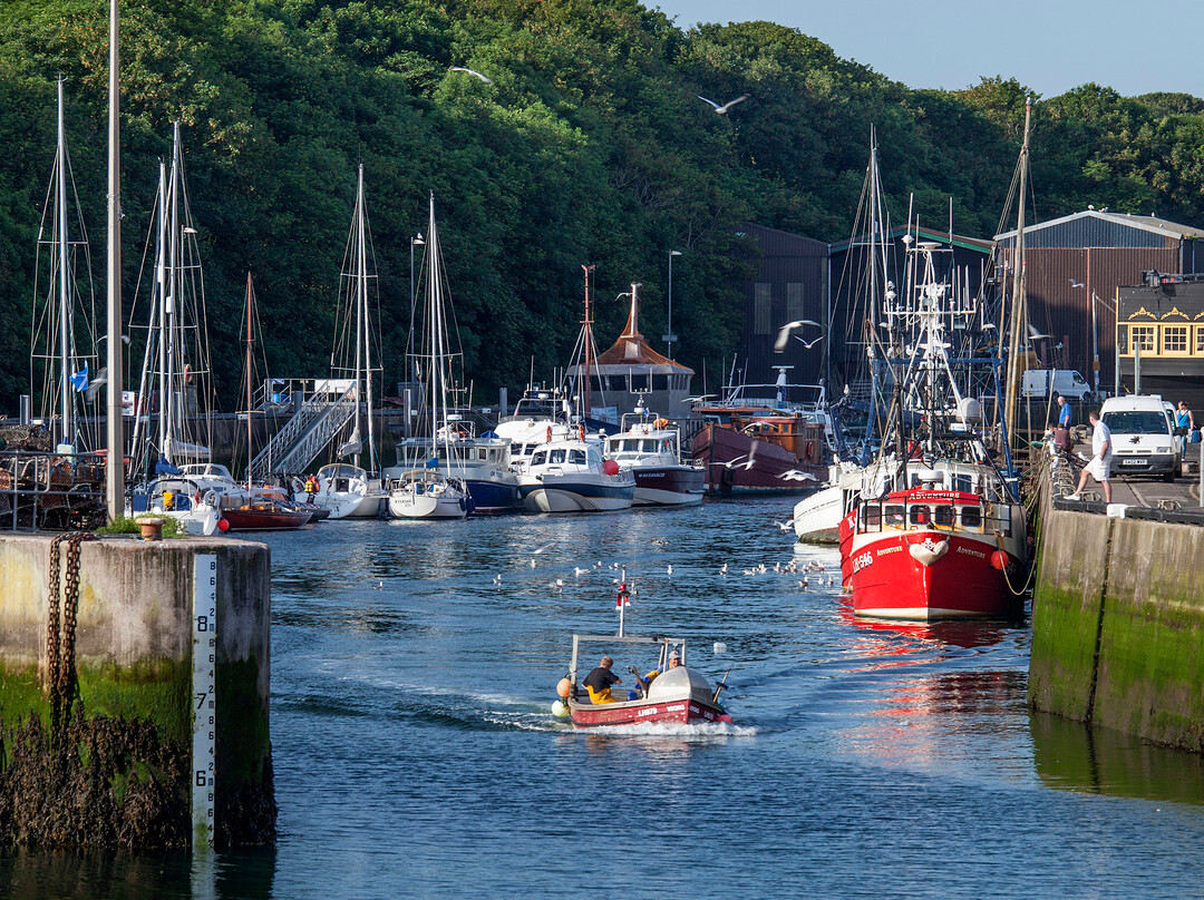 Eyemouth Harbour-Eyemouth必去景点