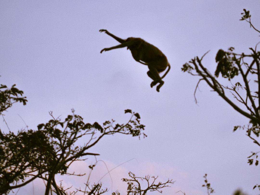 Lost Borneo Tours-亚庇必去景点