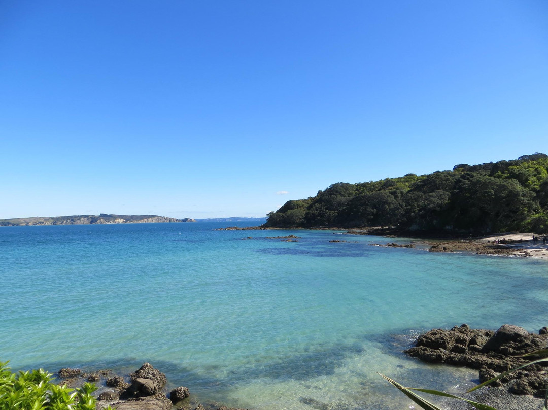 蒂利蒂利马唐伊岛-奥克兰中心地区必去景点