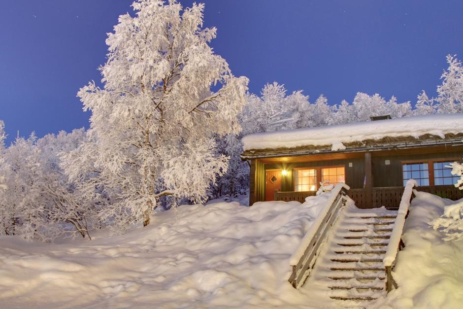Hovi Cabins