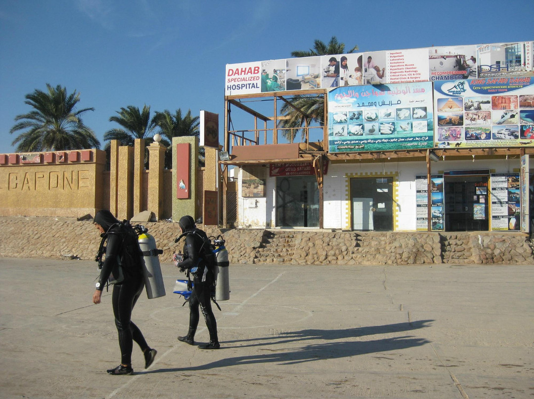 Sinai Voyage-沙姆沙伊赫必去景点