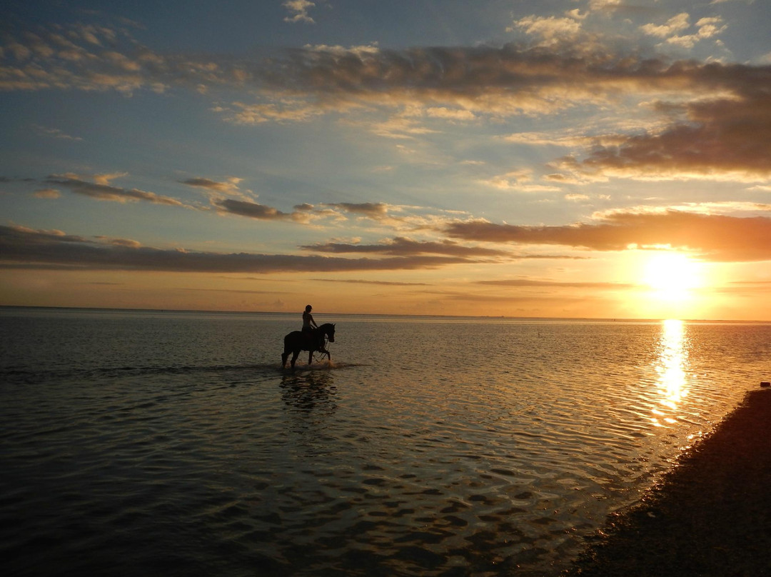 HORSE RIDING RIAMBEL- Centre Equestre De Riambel-Riambel必去景点