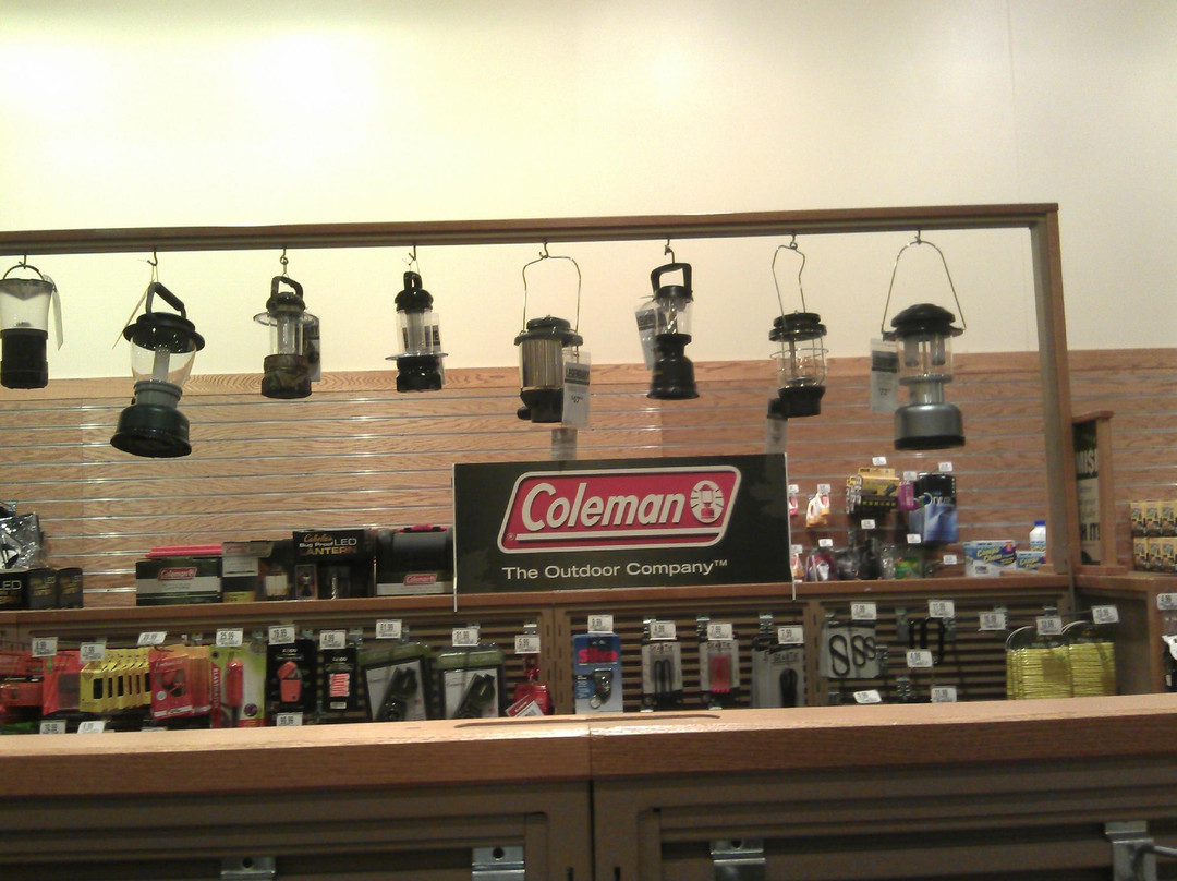 Cabela's-East Hartford必去景点