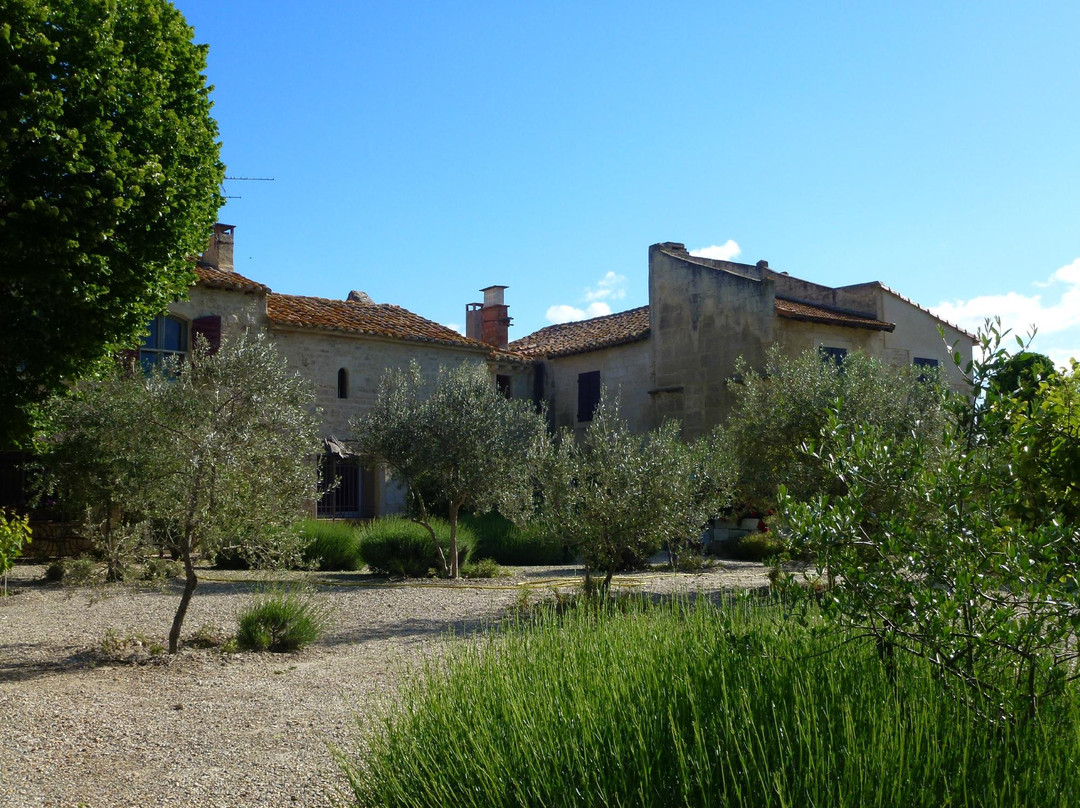 Albaron酒店住宿-Domaine Sainte-Cécile