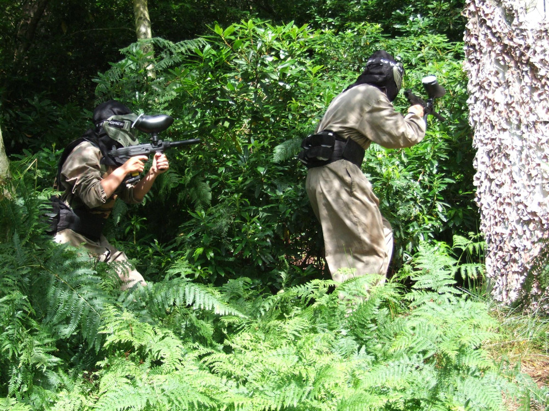 National Paintball Games景点图片