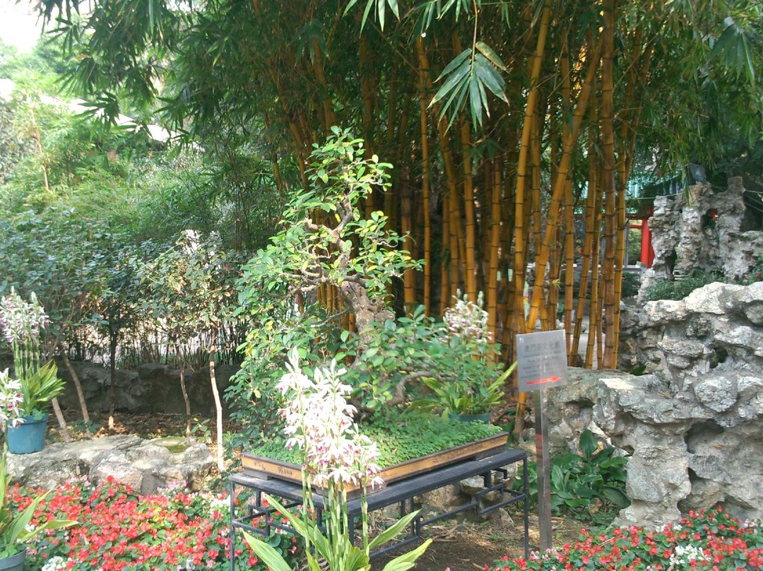 卢廉若公园-澳门必去景点