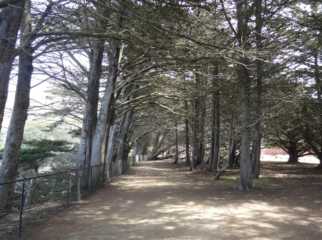 Ragged Point-大苏尔必去景点