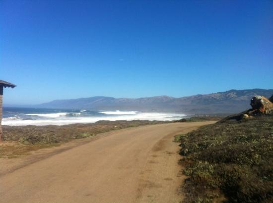 Piedras Blancas Light Station景点图片
