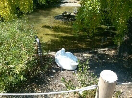 Palo Alto Junior Museum & Zoo-帕罗奥多必去景点