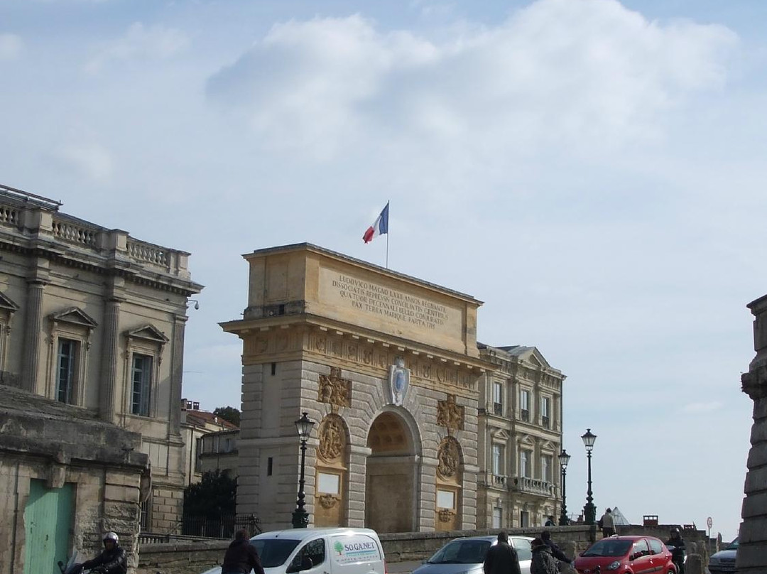 Marche aux Puces du Peyrou景点图片