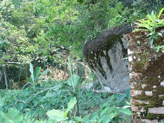 Lagoinha Beach-乌巴图巴必去景点